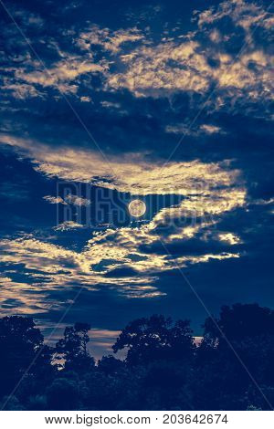 Sky With Clouds And Moon Above Silhouettes Of Trees. Serenity Nature Background.