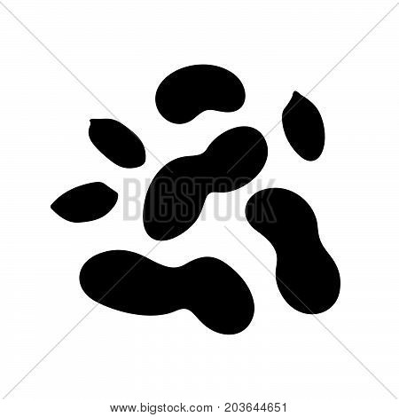 Peanuts ( Arachis ) ( shade picture )