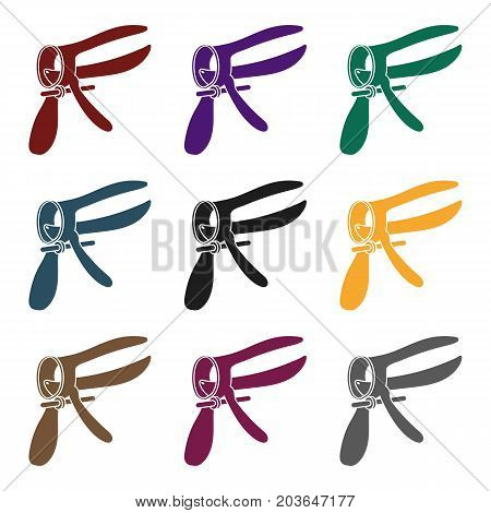 Speculum icon in black style isolated on white background. Pregnancy symbol vector illustration.
