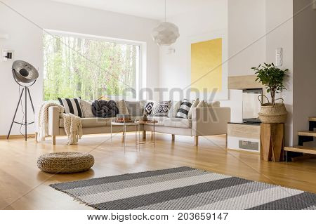Striped Grey Carpet