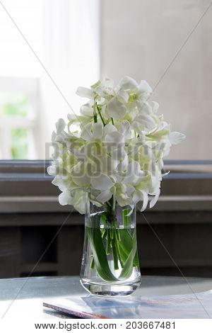 White orchid in glass vase. Decoration of living room with white flower.