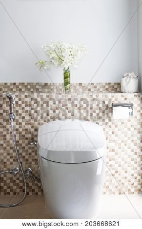 Decoration of toilet. Close flush toilet in clean restroom.
