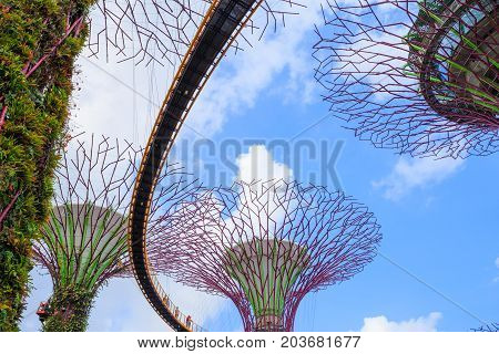 Unidentified Tourist Visited Skyway Of Gardens By The Bay At Singapore