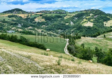 Summer landscape along the road from Maranello to Serramazzoni (Modena Emilia Romagna Italy) at summer