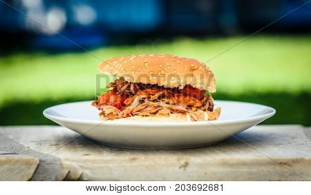 Pulled Pork Sandwich Burger Is Served With Nature Background.