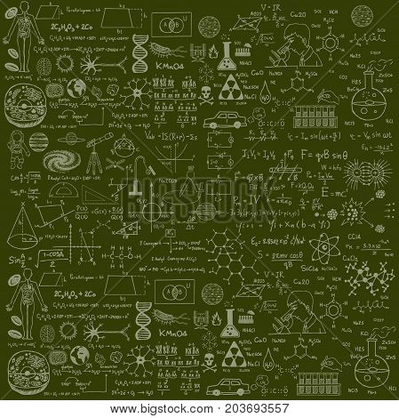 School pattern. Background of a school board with scribbles painted chalk. Vector illustration