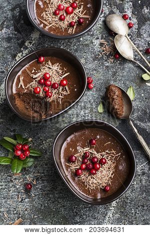 Homemade delicate chocolate mousse with cranberries and chocolate chips in serving ceramic bowls on a gray stone background. Top View