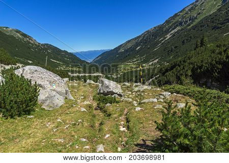 Amazing landscape with Valyavitsa river, Pirin Mountain, Bulgaria