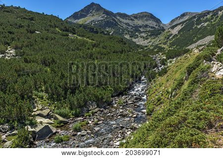 Amazing landscape with Valyavitsa river, Pirin Mountain, Bulgaria