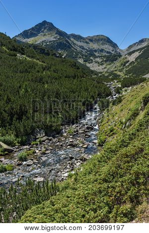 Amazing landscape with Valyavitsa river, Pirin Mountain, Bulgaria