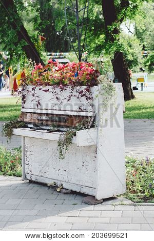 old white piano using as a flower bed in a park