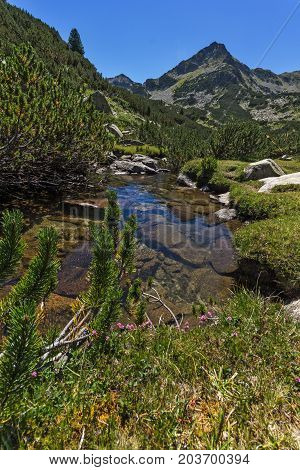 Amazing landscape with Valyavitsa river and Valyavishki chukar peak, Pirin Mountain, Bulgaria