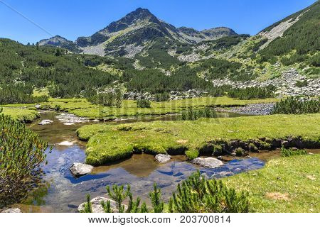 Amazing landscape with Valyavitsa river and Valyavishki chukar peak, Pirin Mountain, Bulgaria