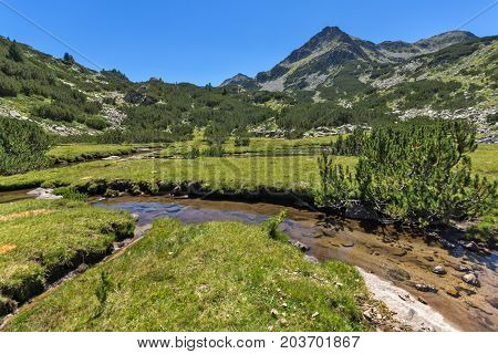 Amazing landscape with Valyavitsa river and Valyavishki chukar peak, Pirin Mountain, Bulgaria