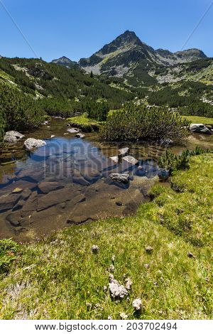 Amazing landscape with Valyavitsa river and Valyavishki chukar peak, Pirin Mountain, Bulgaria