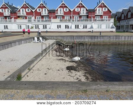 Sandy Beach In Residential Area