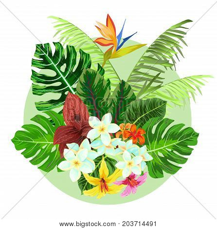 Colorful Tropical jungle plants design. Vector illustration