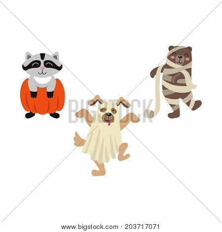 vector flat cartoon funny halloween animals - bear mummy, wrapped in toilet paper, owl in witch hat , caroon in pumpkin and dog ghost in bedsheet set. Isolated illustration on a white background