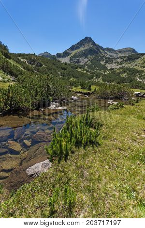 Amazing landscape with Valyavitsa river and Valyavishki chukar peak, Pirin Mountain, Bulgaria
