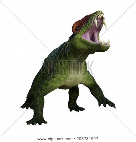3D Rendering Dinosaur Doliosauriscus On White
