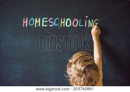Homeschooling. Child Pointing At Word Homeschooling On A Blackboard