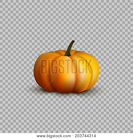 Pumpkin in a realistic style on transparent background, isolated object. Vector illustration, floral element for your Projects summary.