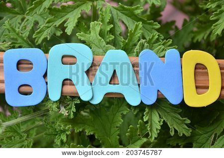 word brand on a  abstract  colorful background