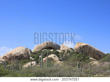 Aruba Dry Arid Landscape