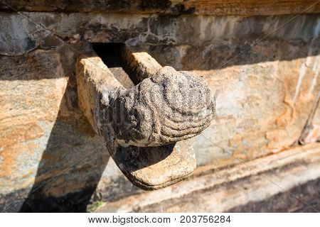 Gargoyle detail of Vatadage or circular relic house in Polonnaruwa ruins. Unesco world heritage on Sri Lanka.