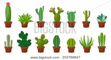 Horizontal banner set of desert or room green cactus. Flat and cartoon style. Vector illustration on white background. Element for your design.
