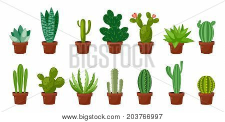Horizontal banner set of desert or room green cactus. Flat and cartoon style. Vector illustration on white background. Element for your design.
