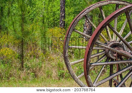 Detail of a big log cart wooden wheel in the Okefenokee park Waycross Georgia. U.S.A.