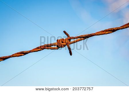 Rusty Barbed Wire, Valconca, Italyalc
