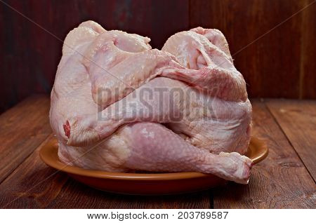 Kamasutra close up concept,  adult sexual humour