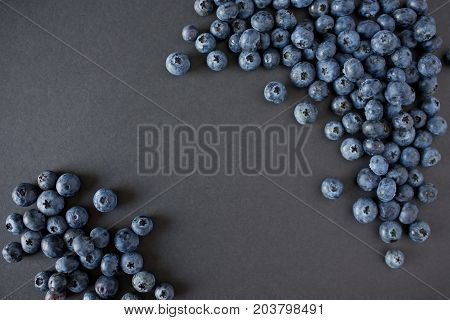 Blueberries background. Blueberry border design. Ripe and juicy fresh picked bilberries close up. Copyspace for your text