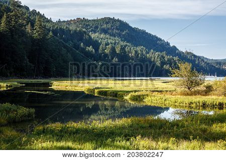 Landscape scene of water with tidal inlets of marsh grasses, and mountains in the background