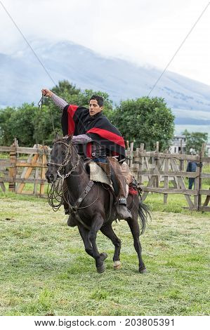 June 3 2017 Machachi Ecuador: cowboy called 'chagra' in the Andes riding a horse while holding up a lasso