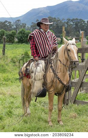 June 3 2017 Machachi Ecuador: cowboy on horse back in traditional wear in the Andes region