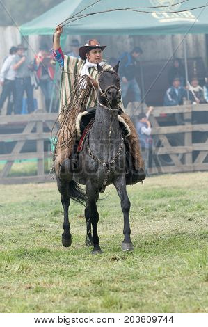 June 3 2017 Machachi Ecuador: Andean cowboy on horseback wearing chaps and poncho handling a lasso
