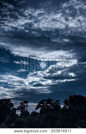Sky With Clouds And Moon Above Silhouettes Of Trees. Serenity Nature Background.