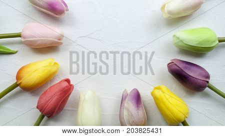 10 Colorful tulips on light white background