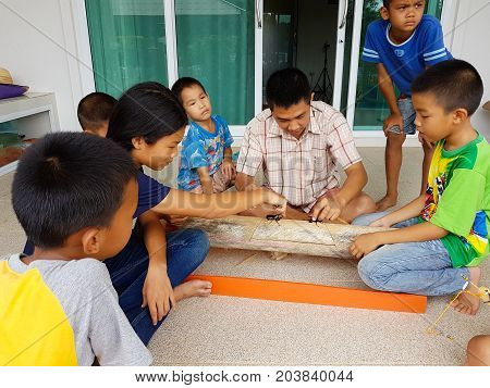 CHIANG RAI THAILAND - SEPTEMBER 9 : Unidentified asian children watching rhinoceros beetle fighting on September 9 2017 in Chiang rai Thailand.