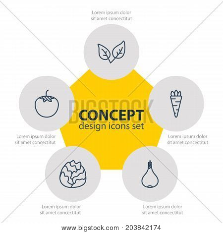 Editable Pack Of Peppermint, Turnip, Cole And Other Elements.  Vector Illustration Of 5 Food Icons.