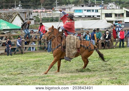 June 3 2017 Machachi Ecuador: indigenous quechua cowboy in field dressed traditionally handling lasso on horseback