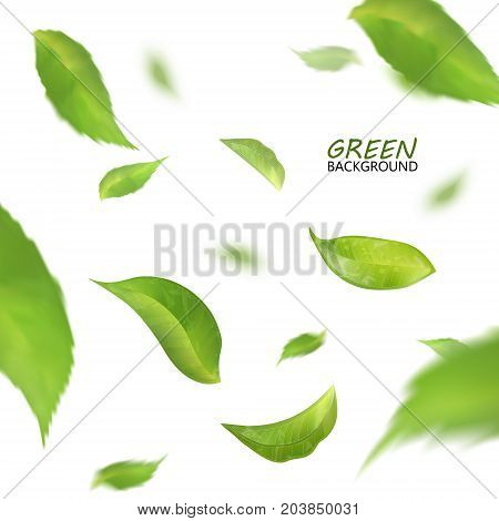 Blurred fresh flying green leaves, quality 3d imitation. Vector