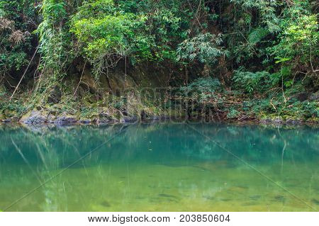 Scenery In Khao Sok National Park In Thailand. Khao Sok National Park The Rain Jungle Forest In Sura