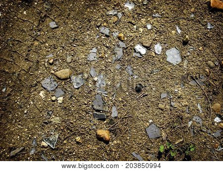 Shards of glass on the ground. Soil. Texture of the soil. Abstract nature background. Ground texture