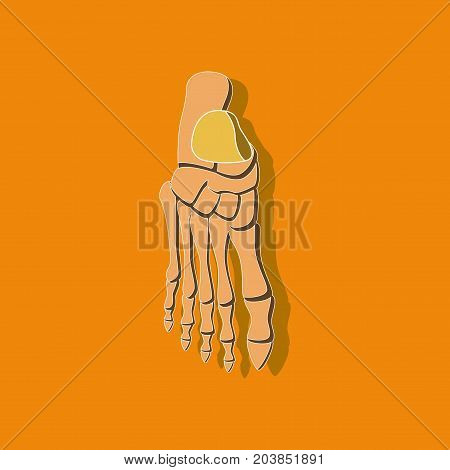 foot skeleton paper sticker on stylish background