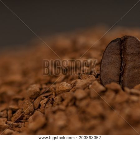 one a coffee grain of granulated coffee