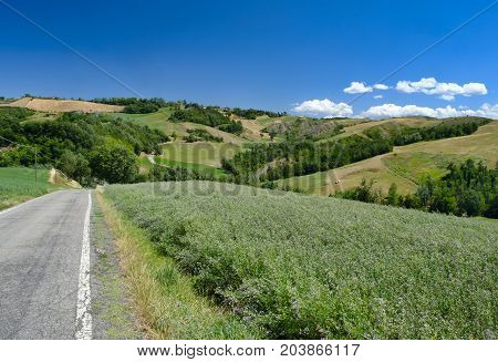 Summer landscape near Rivalta di Lesignano de Bagni (Parma Emilia-Romagna Italy) with the typical rocky inlets